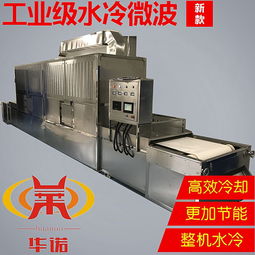 微波技術(shù)在現(xiàn)代食品工業(yè)中的創(chuàng)新應(yīng)用與研發(fā)突破